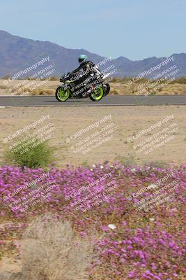 media/Mar-12-2023-SoCal Trackdays (Sun) [[d4c8249724]]/Turn 15 Inside Bloom (130pm)/